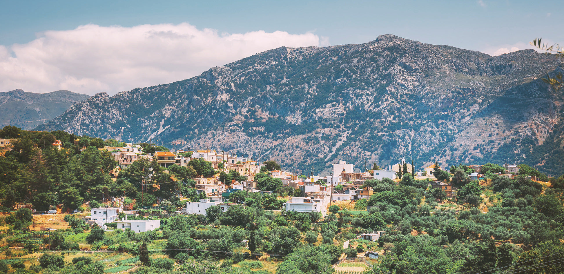 Gouves auf Kreta warum diese Region unsere Produkte prägt